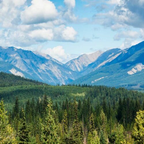 british columbia landscape