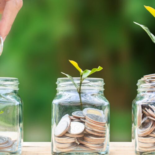 coins in jars with seedlings growing