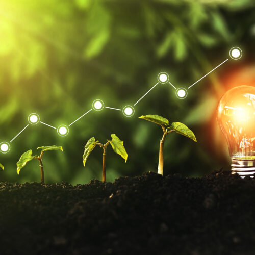 plant growing bigger in soil with a positive growth chart showing